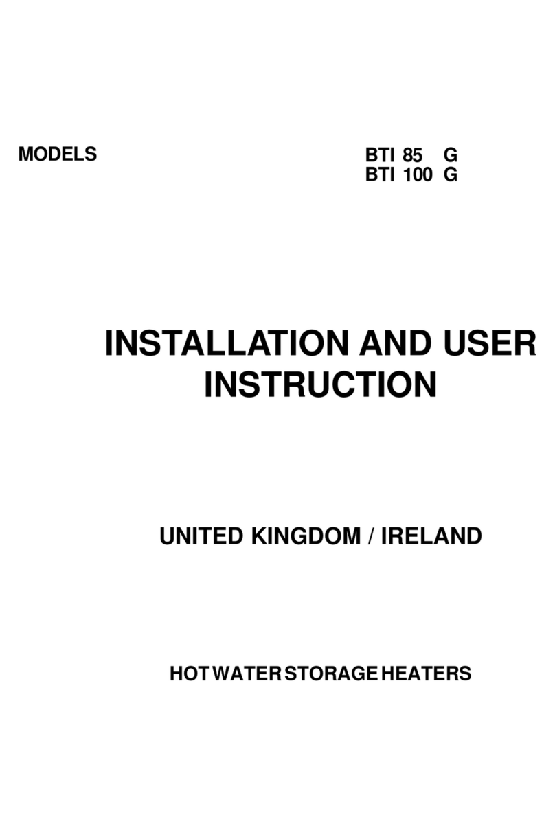 A.O. Smith BTI 100 G Guide