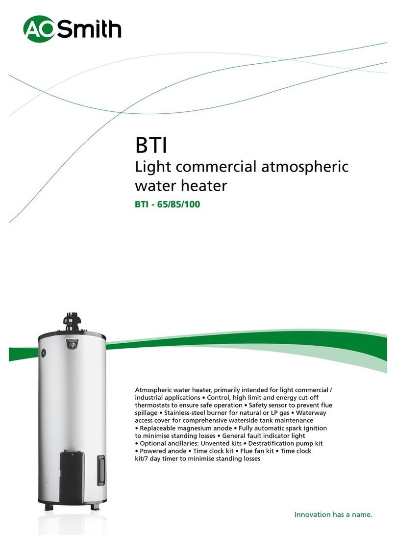 A.O. Smith BTI - 100 User manual