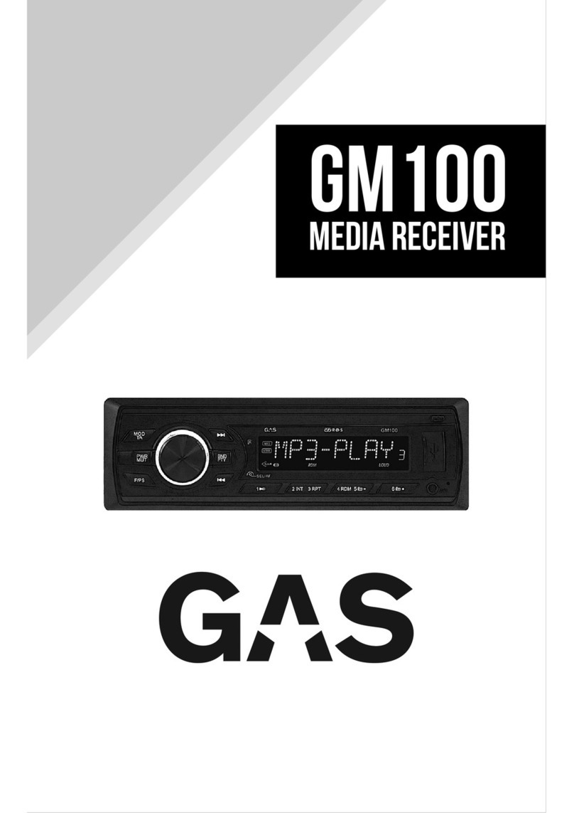 GAS GM100 manual