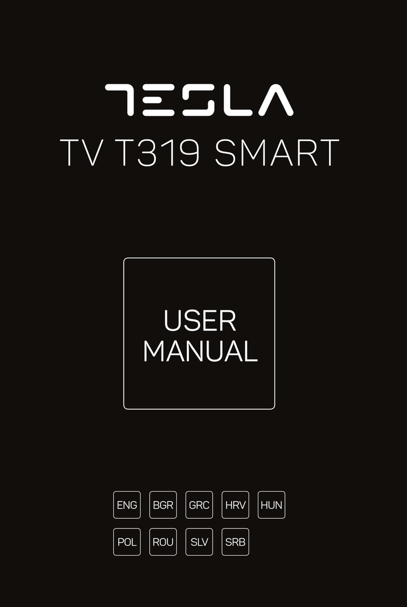 Tesla T319 User manual