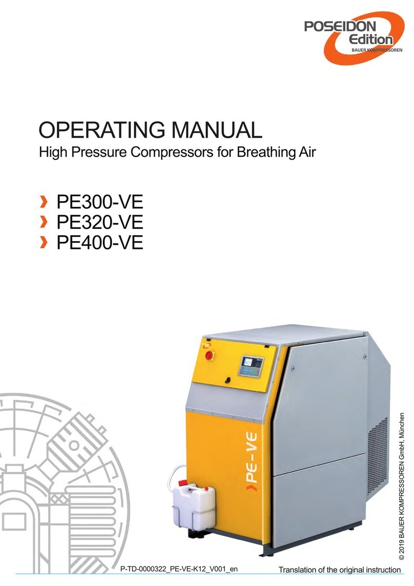 POSEIDON PE300-VE User manual