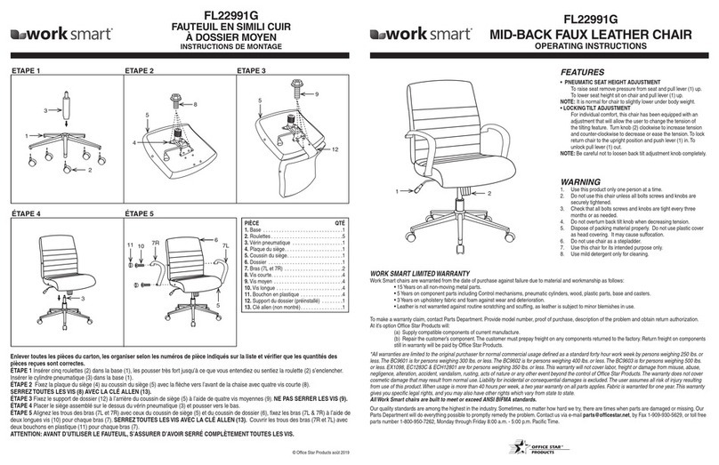 Work Smart FL22991G User manual