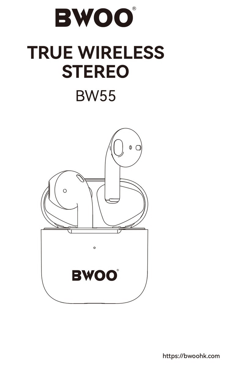 BWOO BW55 User manual