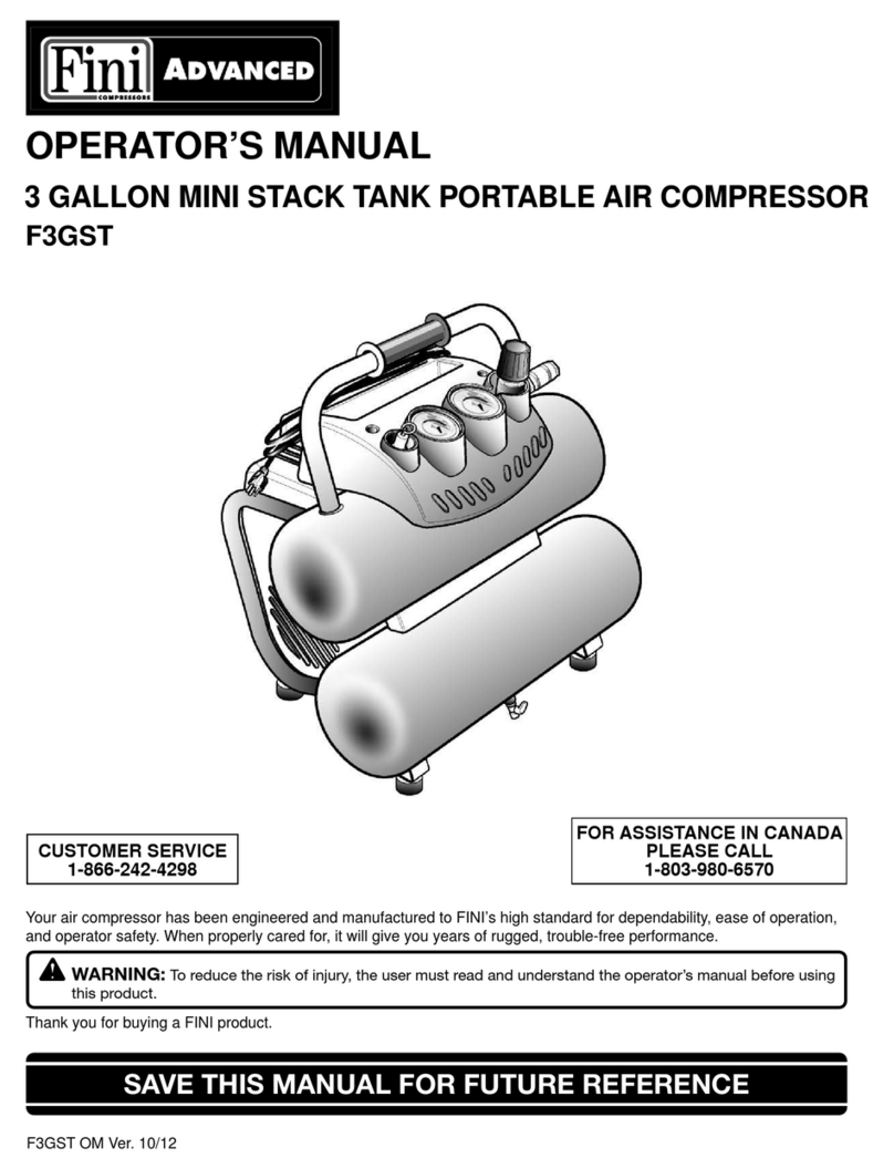 Fini ADVANCED F3GST User manual