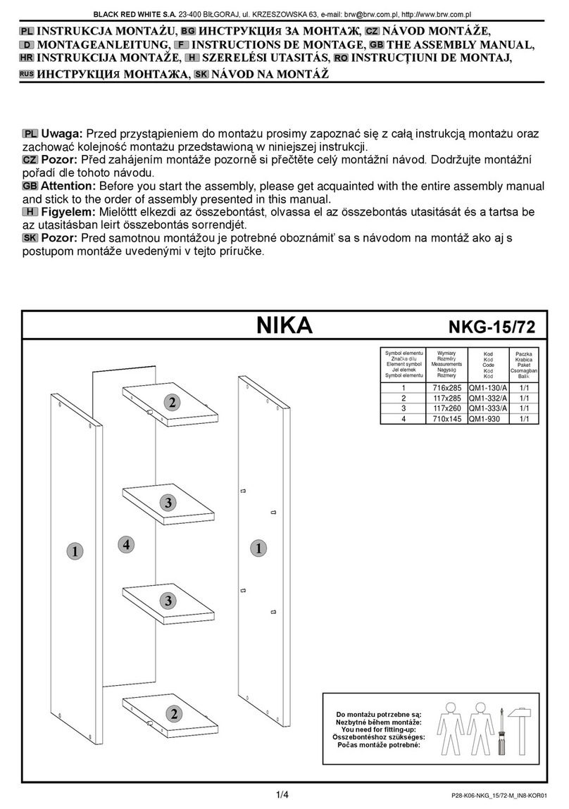 BLACK RED WHITE NIKA NKG-15/72 Assembly manual