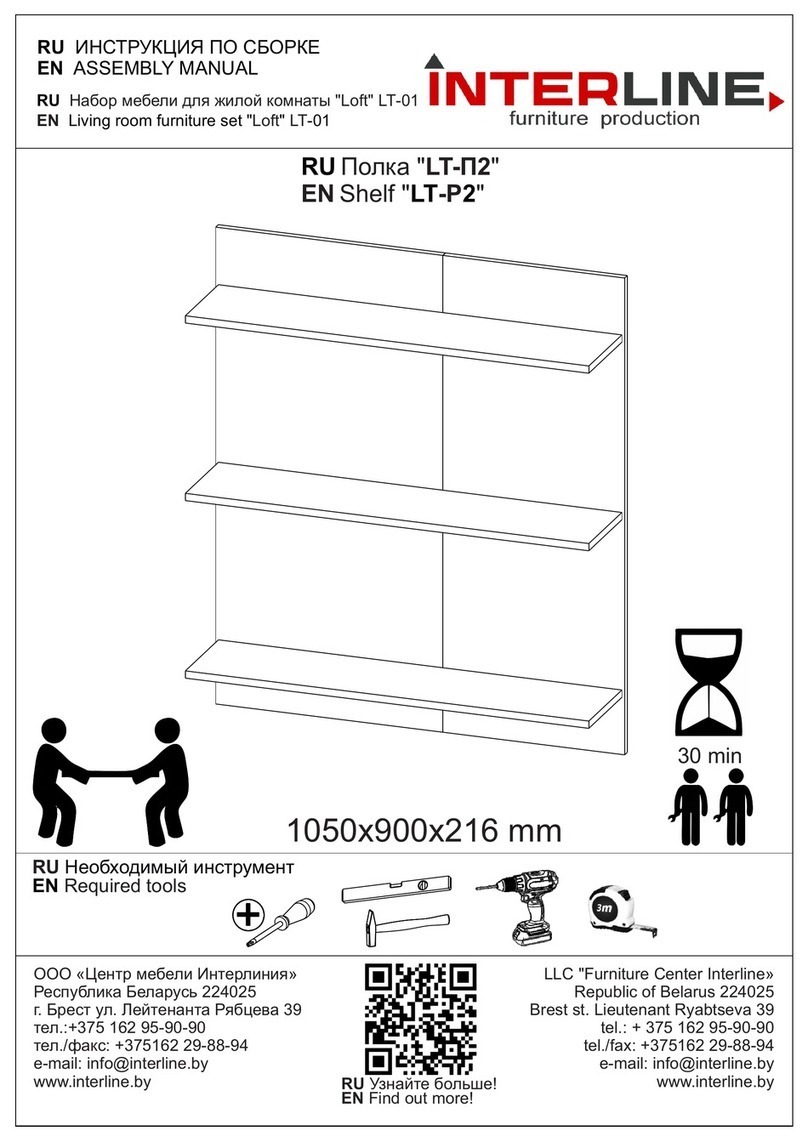 Interline LT-P2 User manual