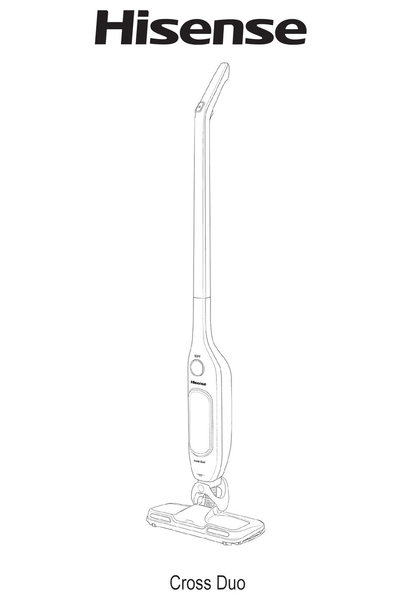 Hisense Cross Duo User manual
