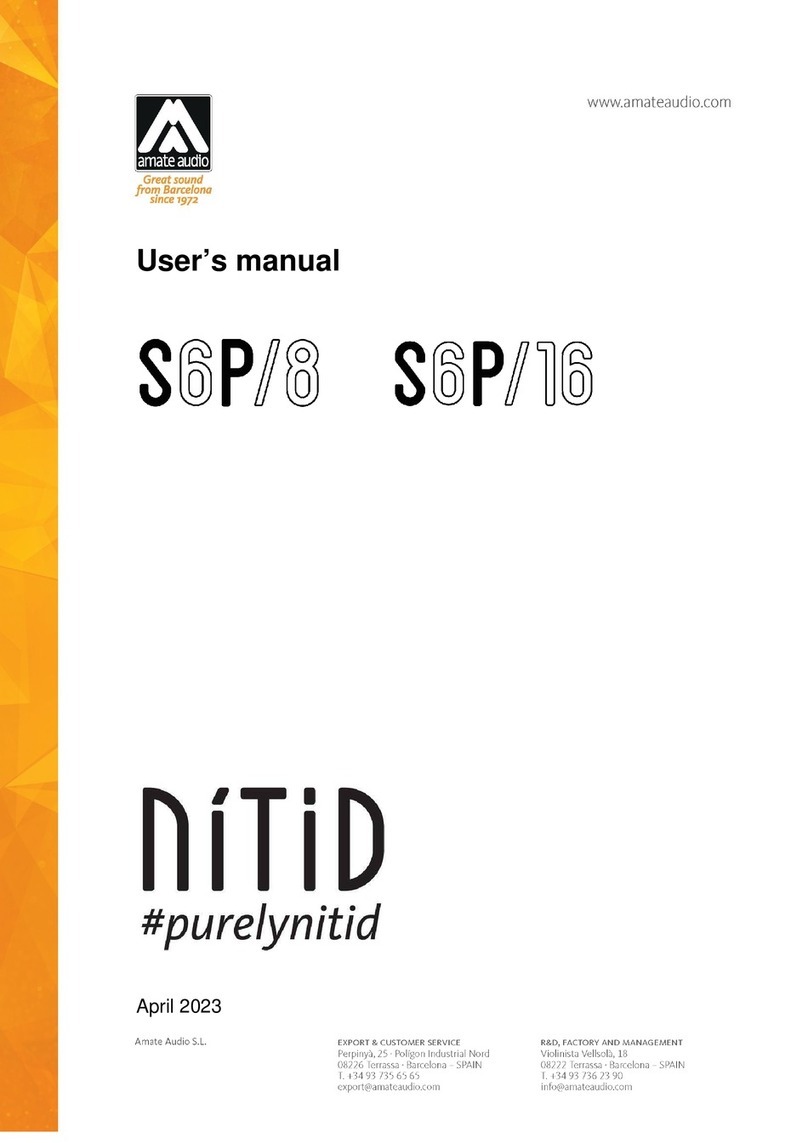 Amate Audio NITID S6P/8 user manual