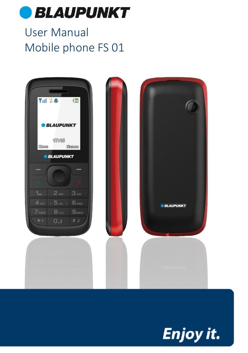 Blaupunkt FS 01 User manual Blaupunkt FS 01 User manual
