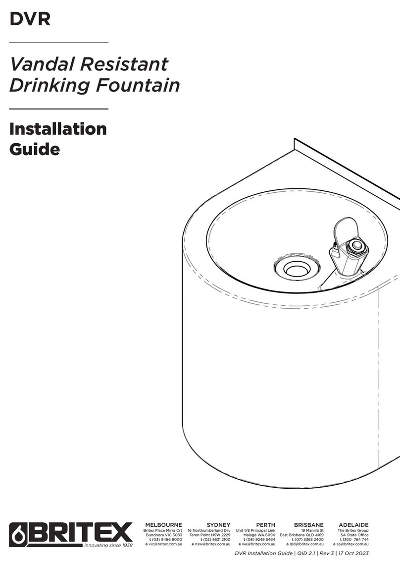 Britex DVR User manual