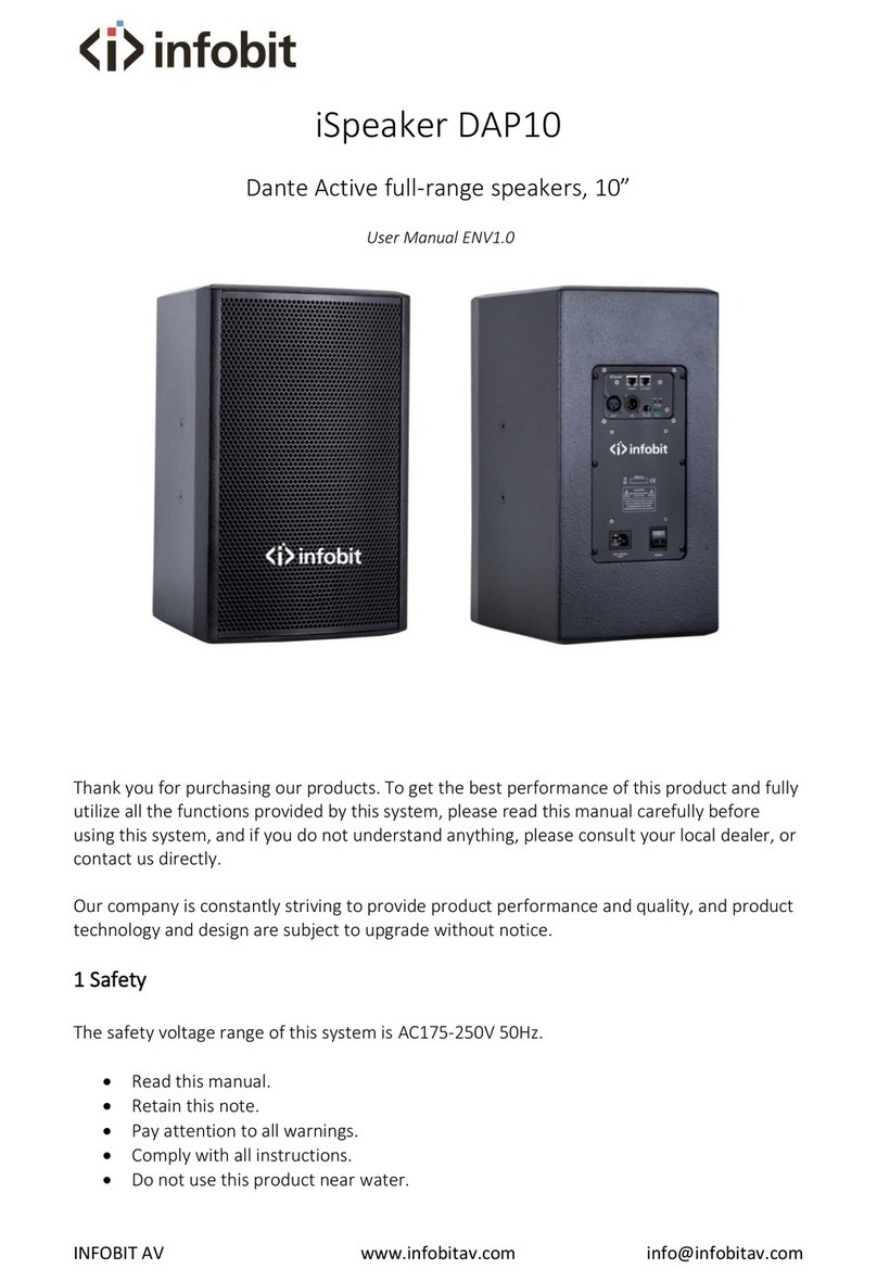 infobit iSpeaker DAP10 User manual