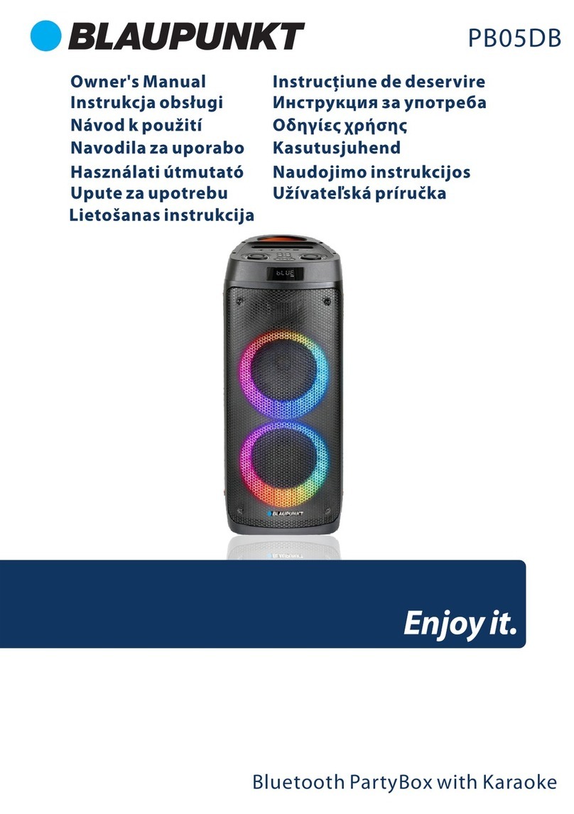 Blaupunkt PB05DB User manual