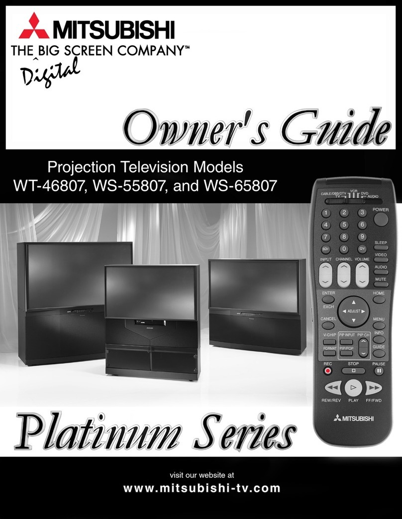 Mitsubishi Platinum Series User manual