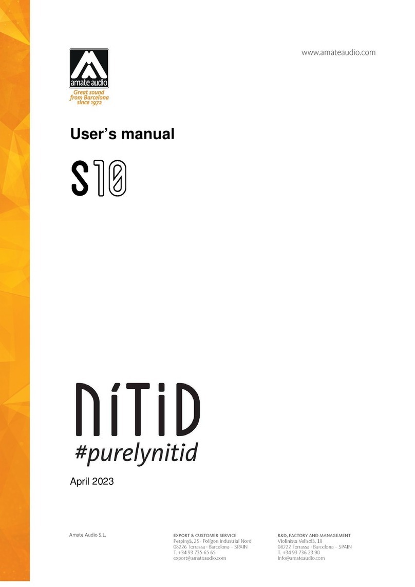 Amate Audio NITID S10 user manual