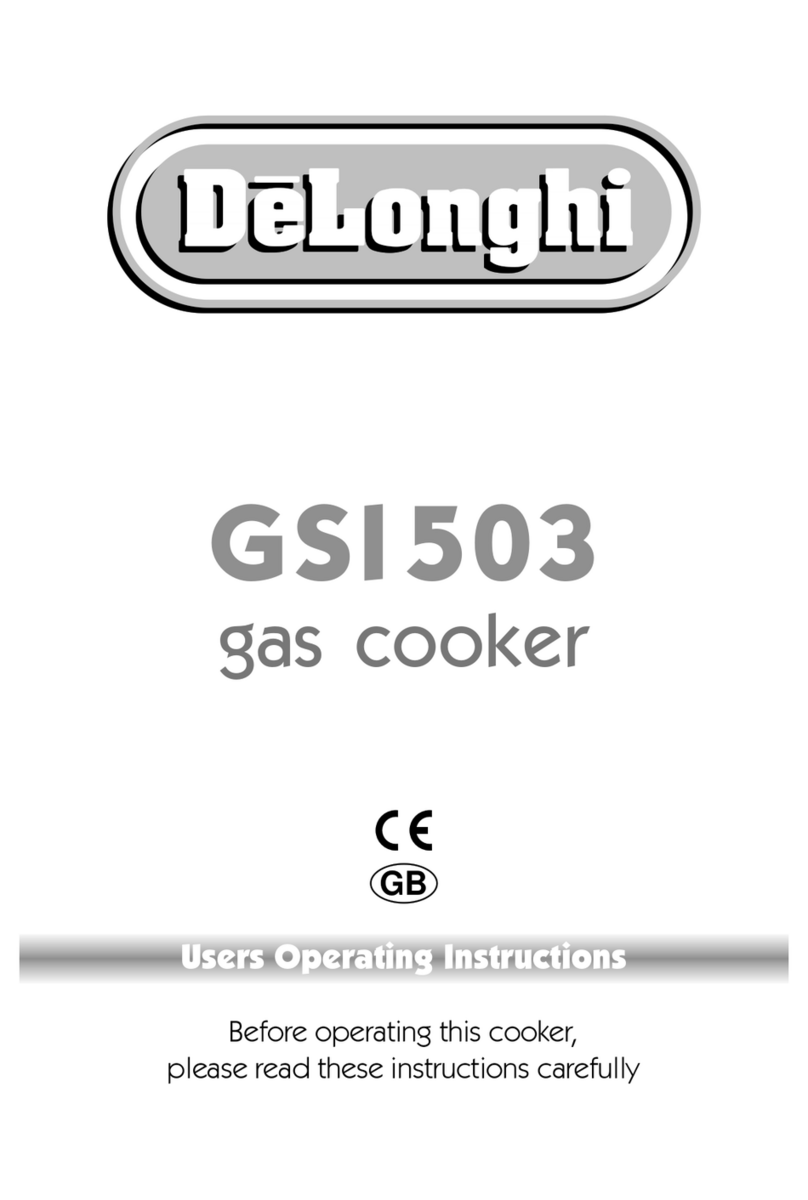 DèLonghi GSI503 Operation instructions