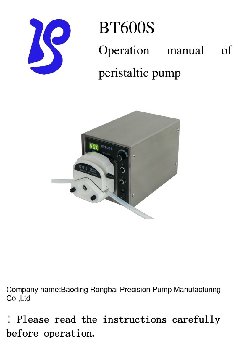 Rongbai Precision Pump BT600S Operation manual