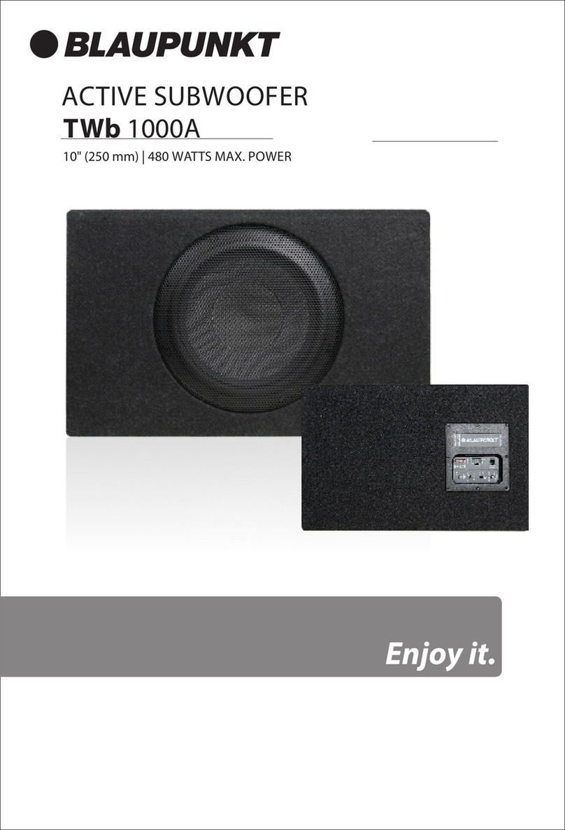 Blaupunkt TWb 1000A manual
