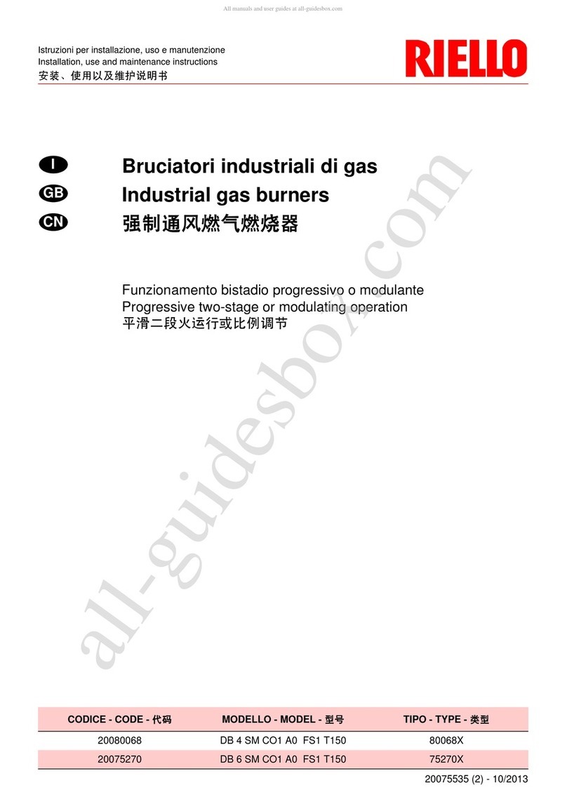 Riello DB4SMC01 AO FS1 T150 Installation, use and maintenance instructions