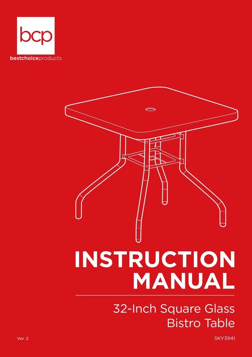 BCP SKY3941 quick start guide