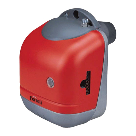 Gruppo Ferroli SUN G6 R Operating, installation and maintenance instructions