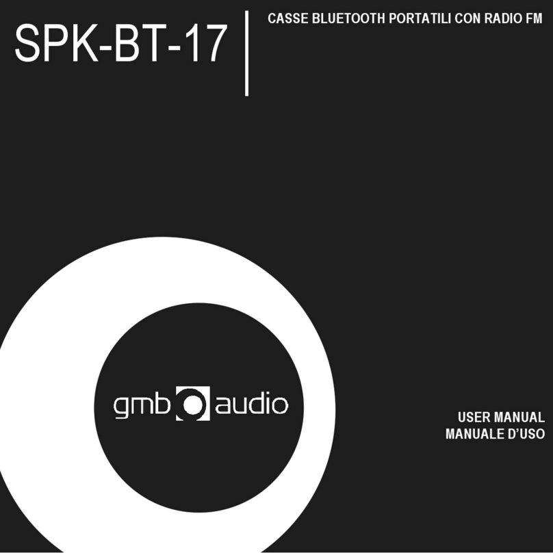 GMB Audio SPK-BT-17-G User manual