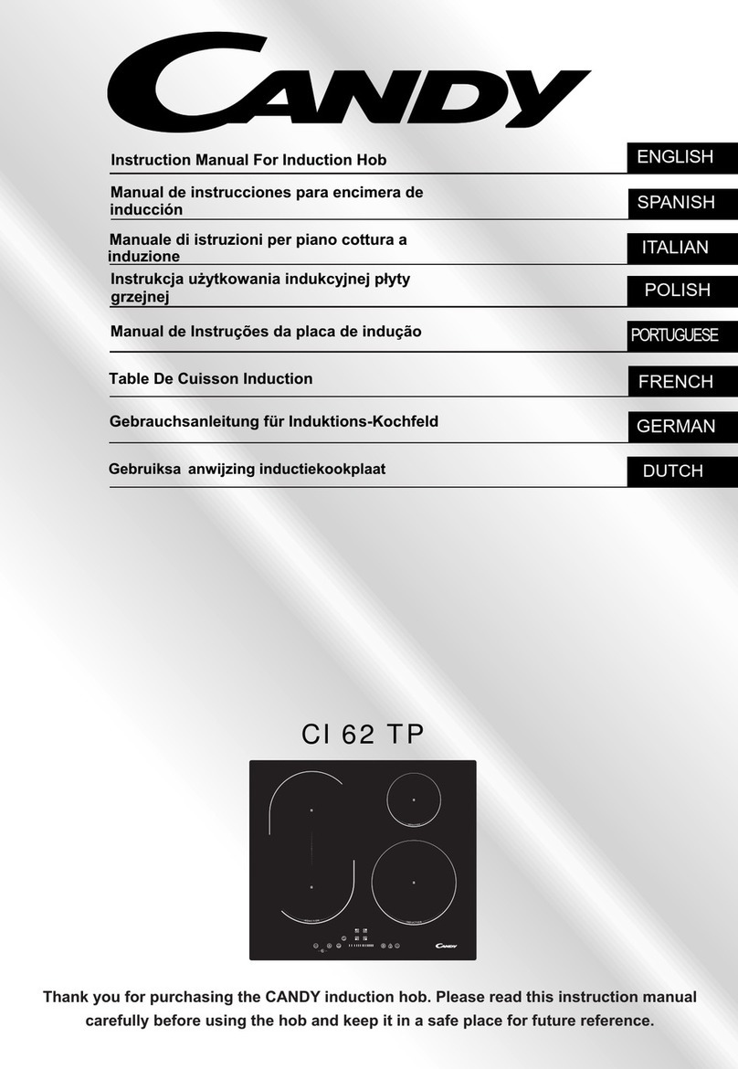 Candy CI 62 TP instruction manual