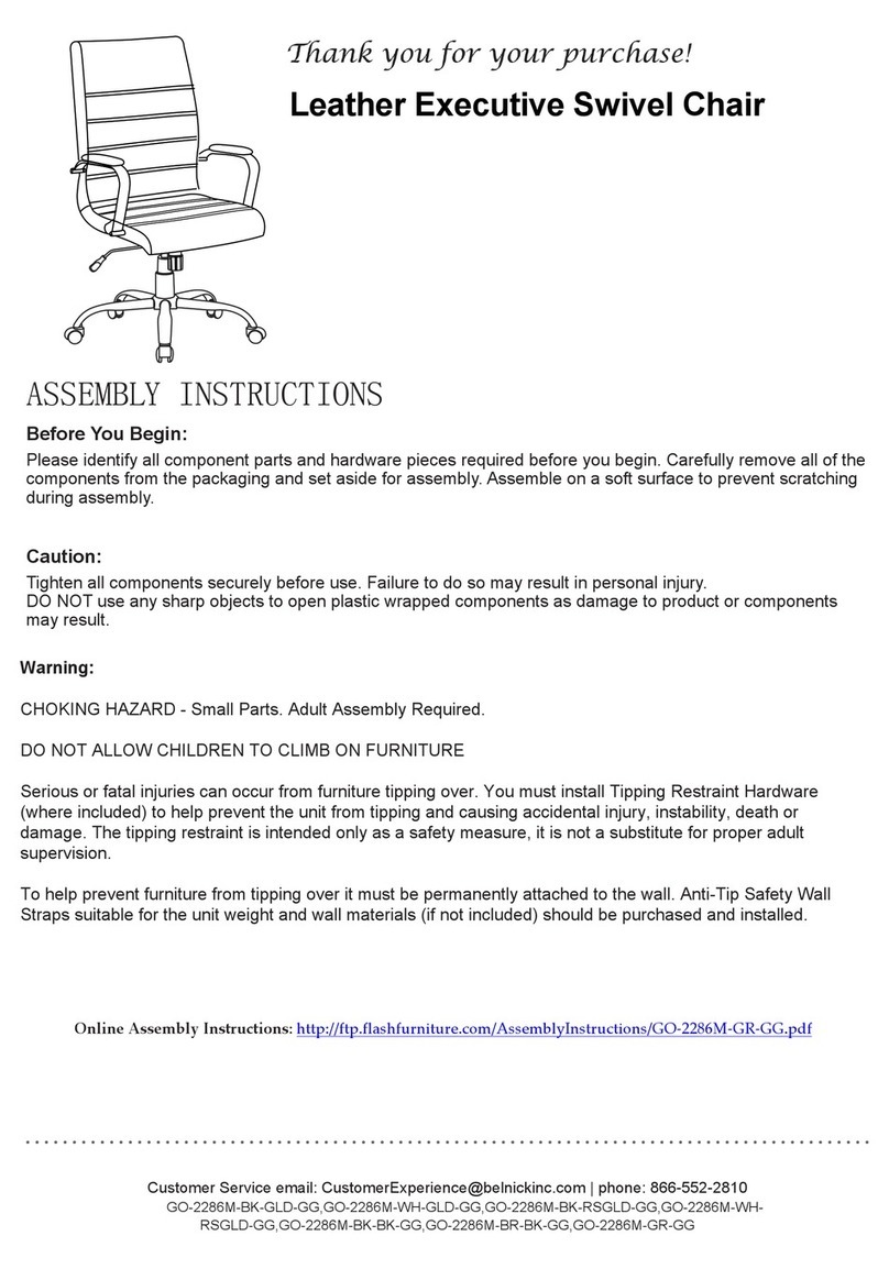 Belnick GO-2286M-WH-GLD-GG Assembly instructions