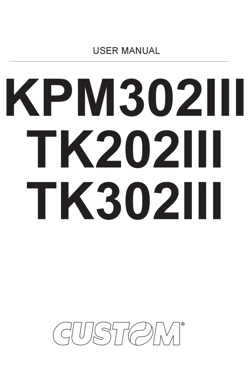 Custom Audio Electronics TK202III User manual