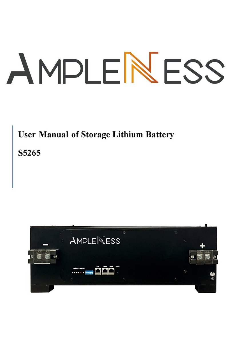 AmpleNess S5265 user manual