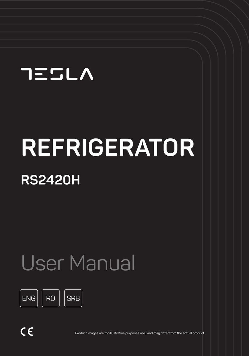 Tesla RS2420H user manual