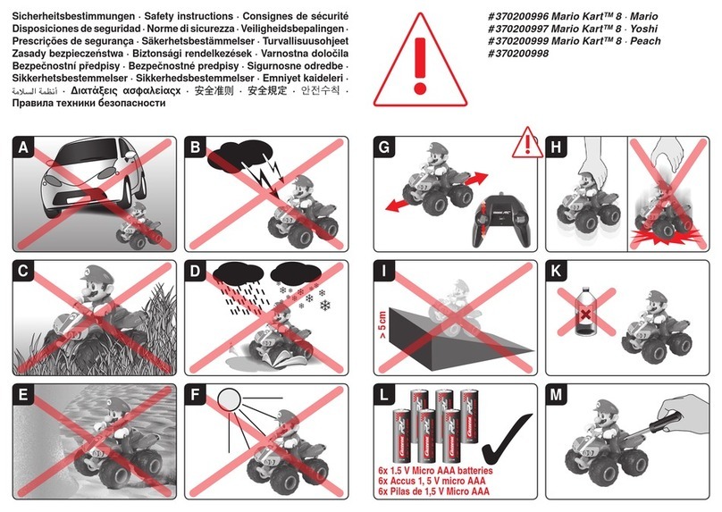 Carrera RC Mario Kart 8 Yoshi Safety instruction
