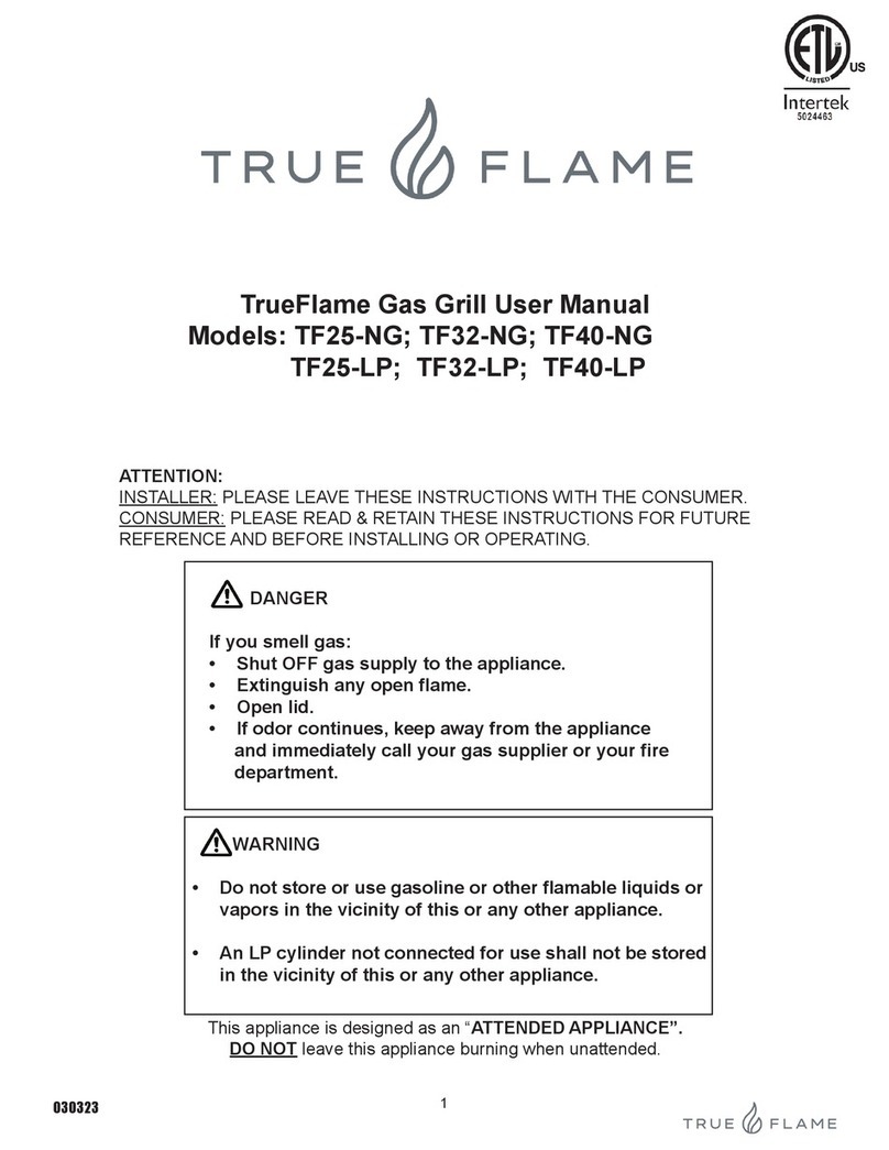 TrueFlame TF25-NG user manual