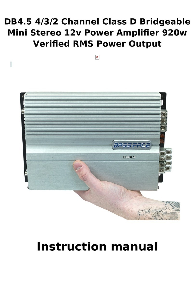 BASSFACE DB4.5 User manual