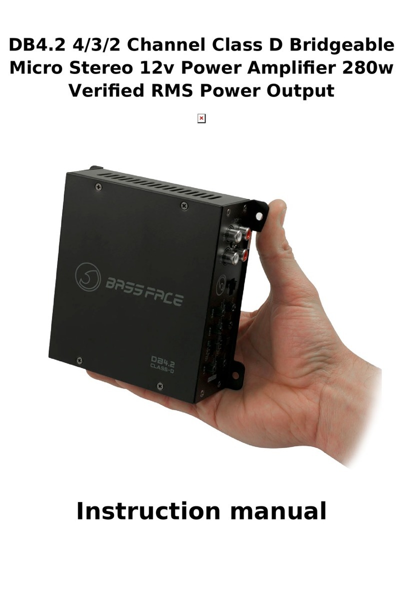 BASSFACE DB4.2 instruction manual