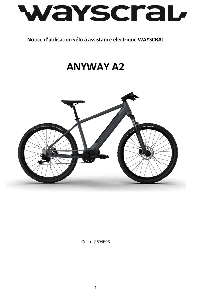 wayscral ANYWAY A2 Instructions for use
