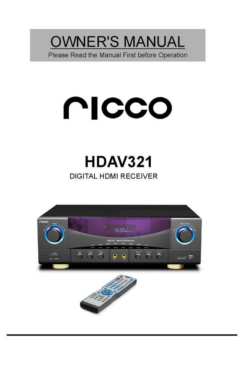 Ricco HDAV321 User manual