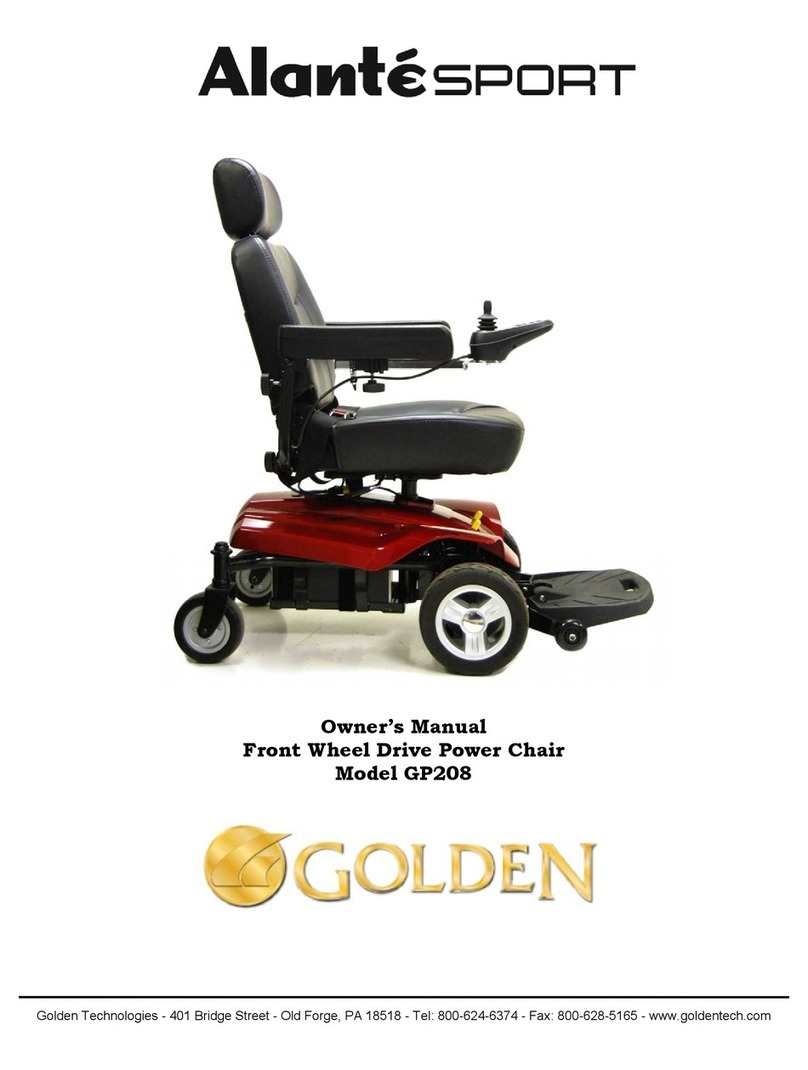 Golden AlanteSPORT GP208 User manual Golden AlanteSPORT GP208 User manual