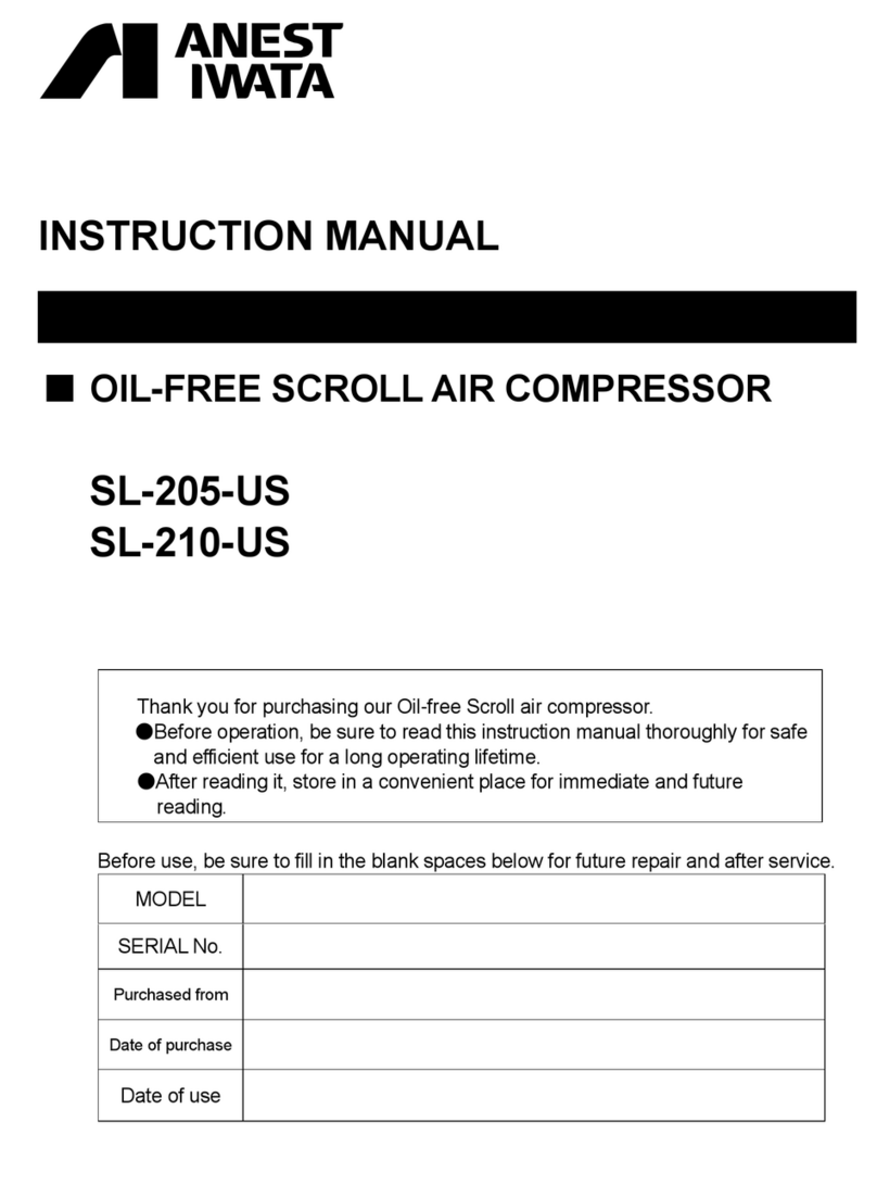 Anest Iwata SL-205-US instruction manual
