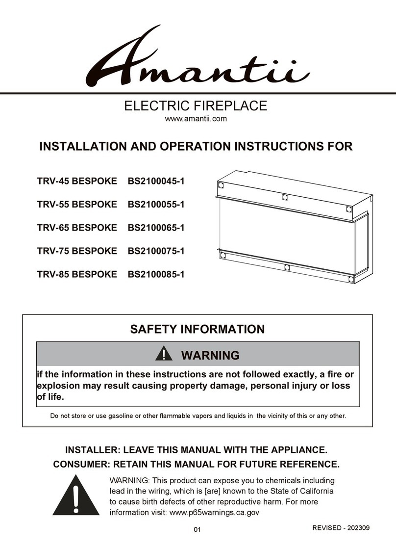 Amantii BS2100045-1 Owner's manual