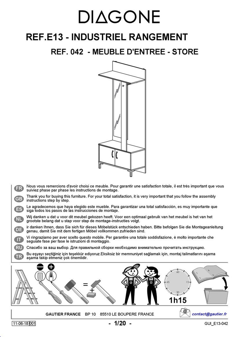 Diagone E13 User manual