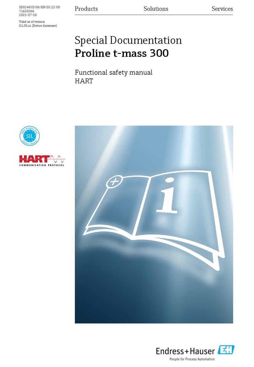 Endress+Hauser Proline t-mass 300 Special Documentation