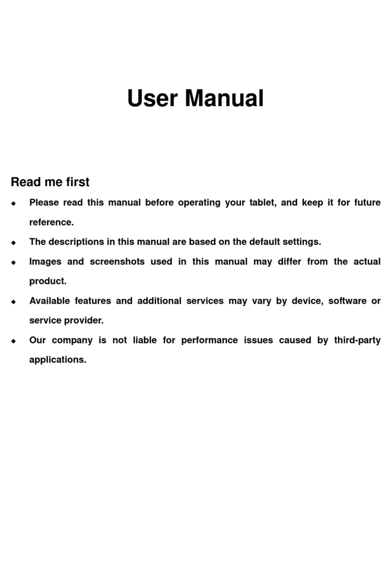 SWAGTEK T2P00X user manual