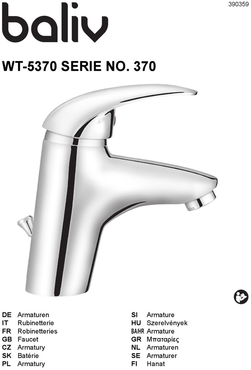 baliv WT-5370 User manual