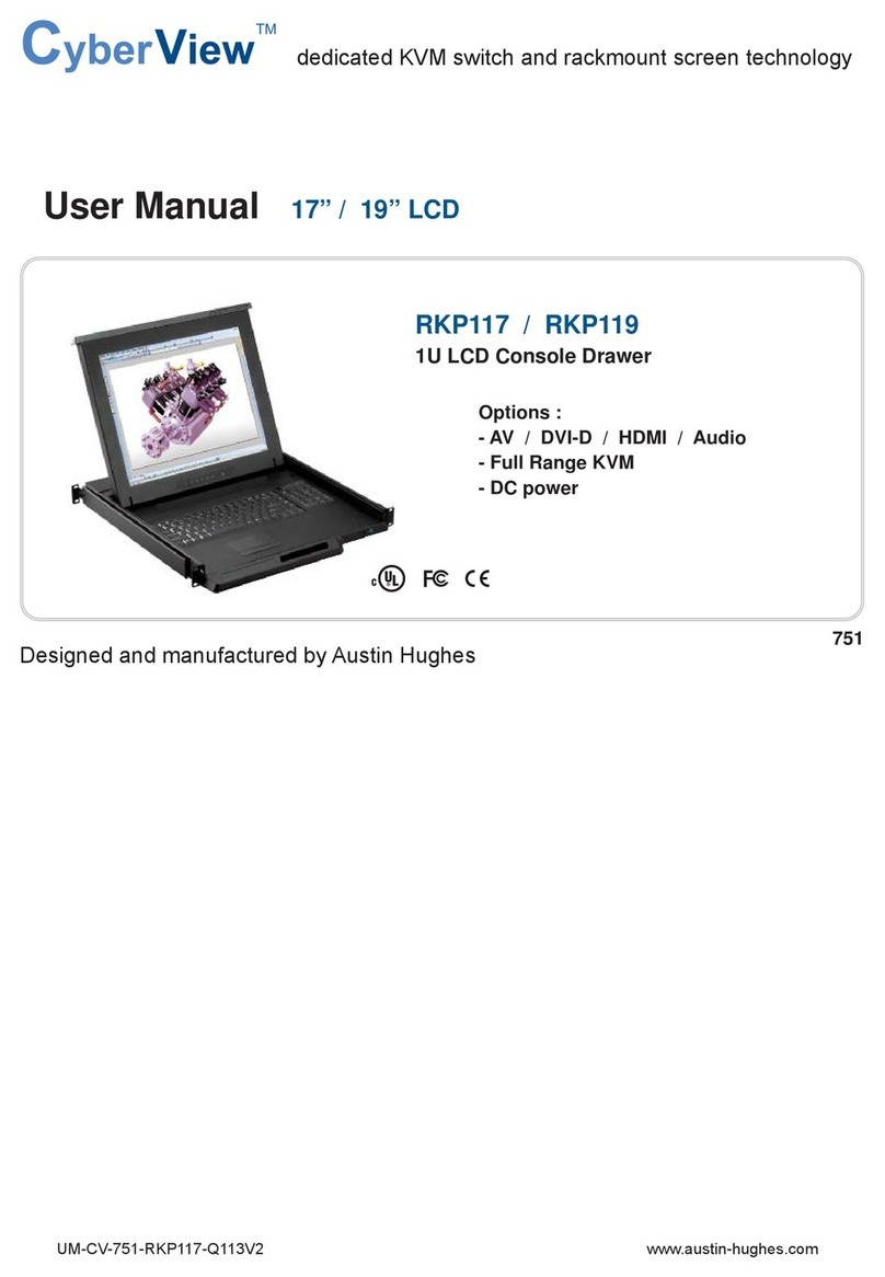 Austin Hughes CyberView RKP119 User manual