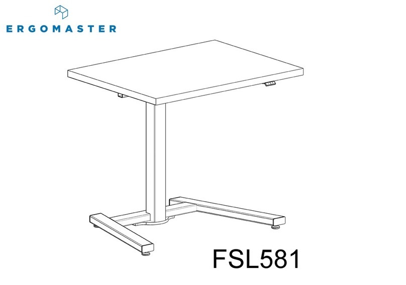 ERGOMASTER FSL581 manual ERGOMASTER FSL581 manual