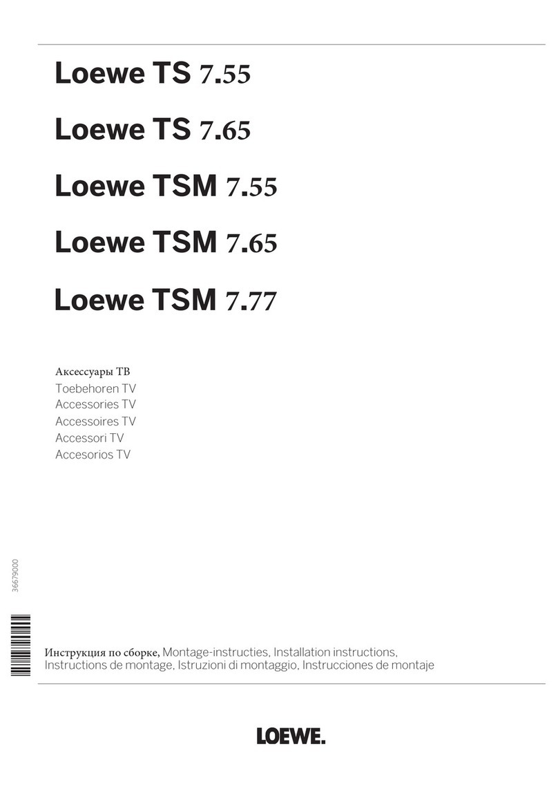 Loewe TS 7.55 installation instructions