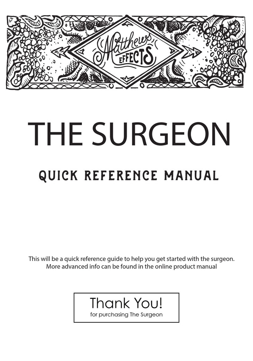 Matthews Effects THE SURGEON Quick reference manual