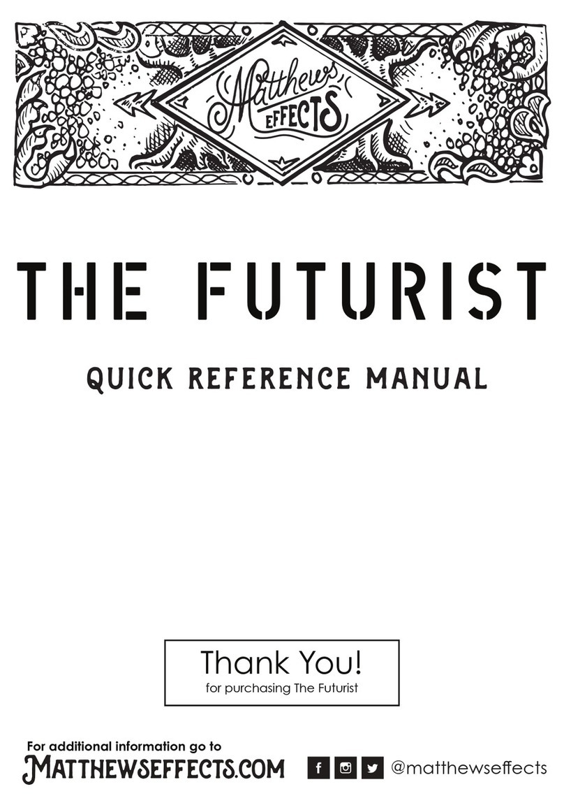 Matthews Effects The Futurist Quick reference manual