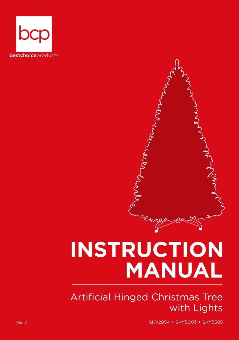 BCP SKY5585 User manual