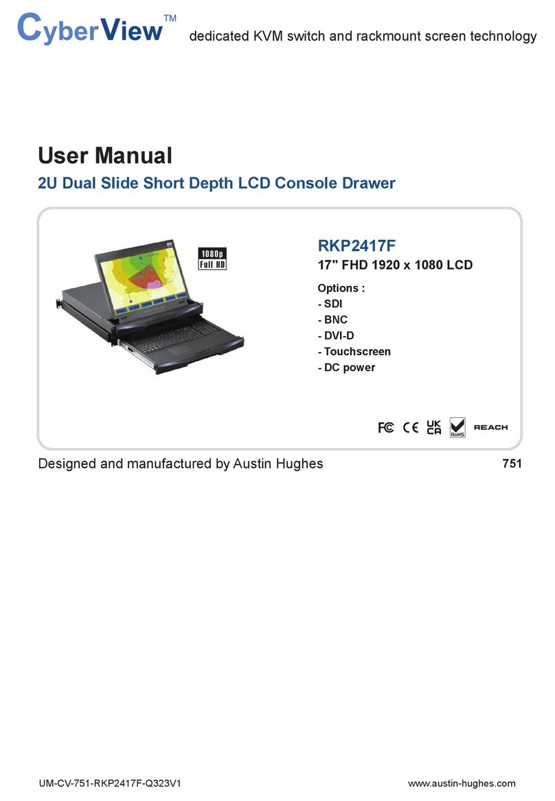 Austin Hughes CyberView RKP2417F User manual